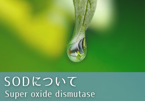 SOD